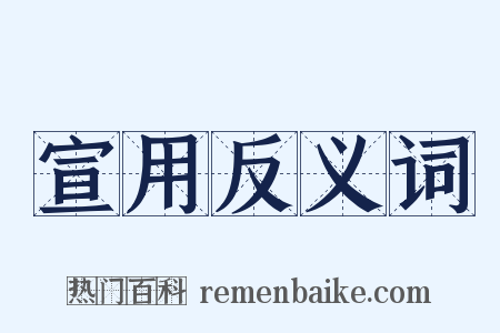 宣用反义词是什么意思的图片
